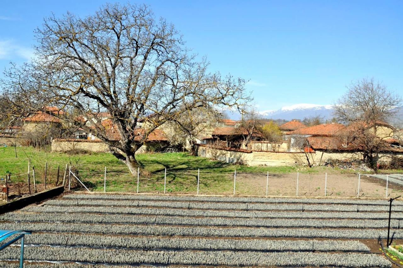 Вила в с. Габарево, Долината на Розите. Gabarevo Екстериор снимка