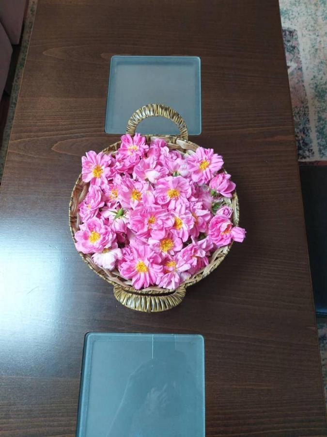 Вила в с. Габарево, Долината на Розите. Gabarevo Екстериор снимка